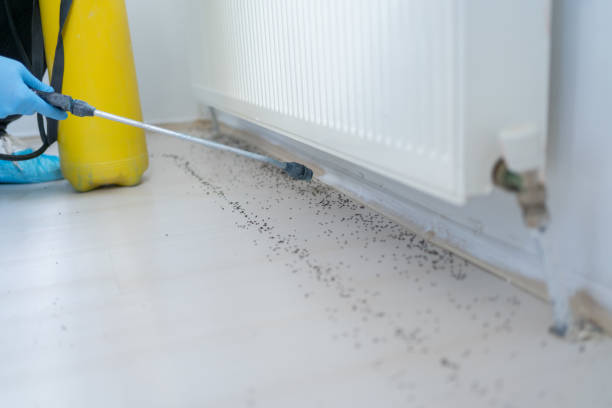 Best Commercial Pest Control Services  in Westmere, NY